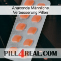 Anaconda Männliche Verbesserung Pillen 26